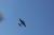 Ferte 2006 045